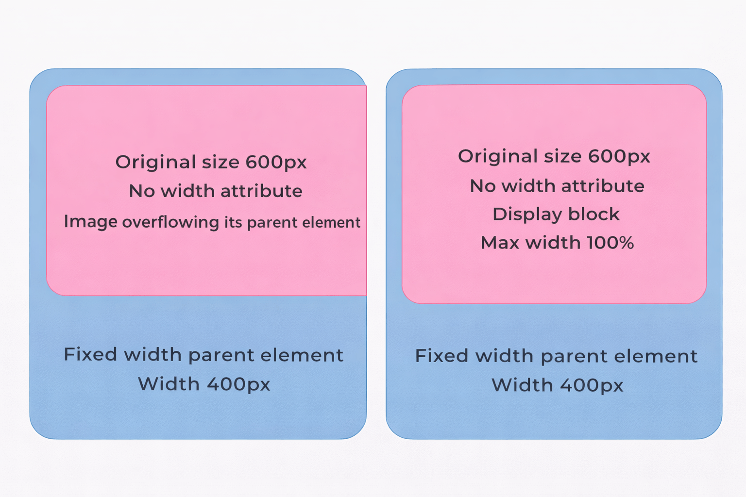 Image with max-width 100% example