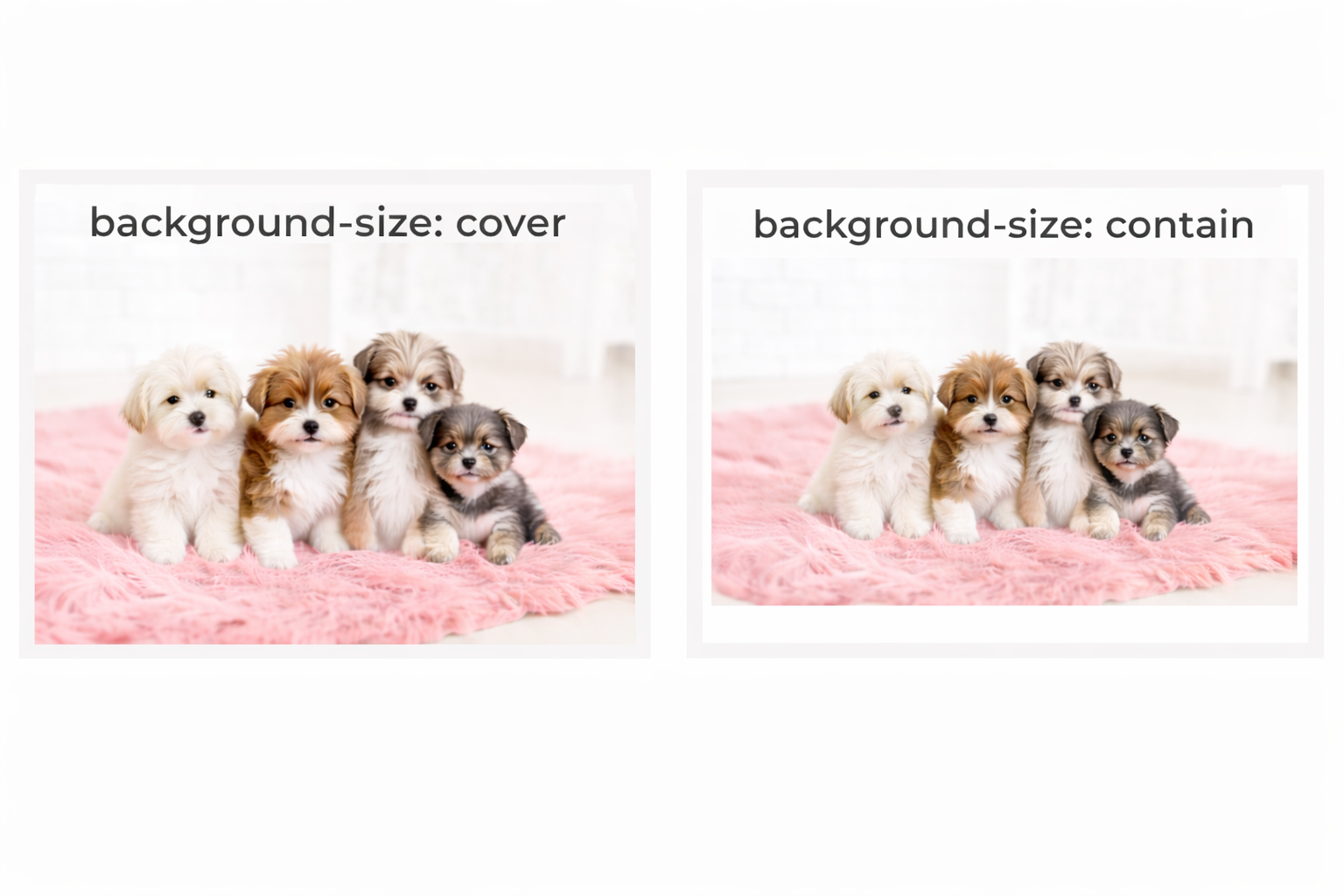 background cover and contain